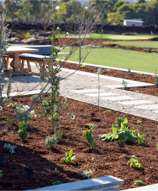 Oz & Omar's Backyard