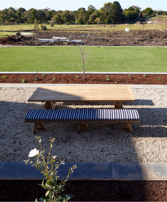 Oz & Omar's Backyard