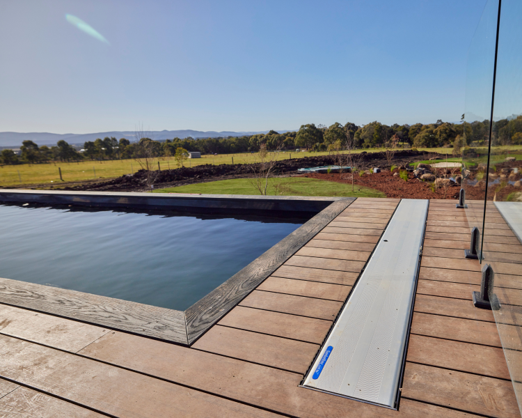 Oz & Omar's Backyard